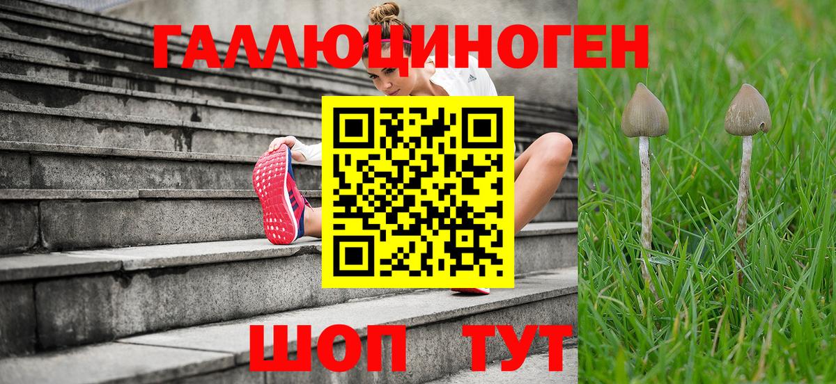 Псилоцибиновые грибы прущие грибы Сердобск